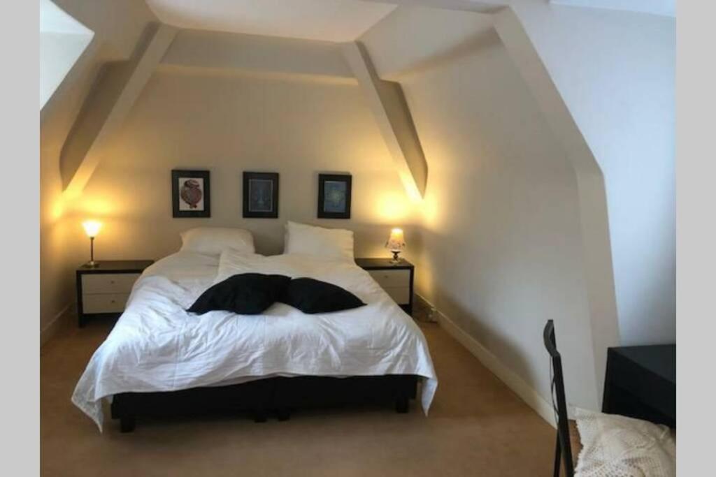 Vrijstaande Rietgedekte Villa Nabij Uitvalswegen Wassenaar Exterior foto
